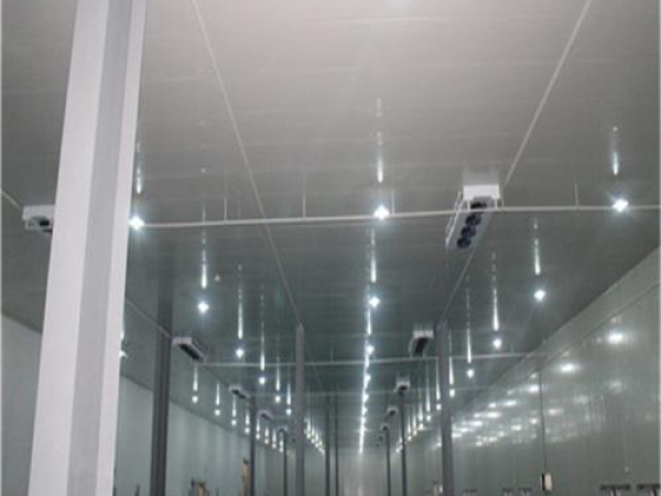 建造安裝食品低溫冷藏庫有哪些因素影響造價？